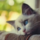 Illustration for article titled Kitty Advice: When One Pet Mourns Another